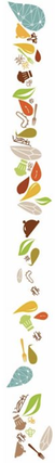 bordure-2-fruits-de-terre