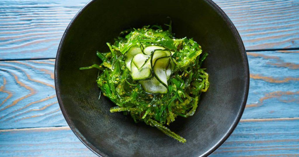 algues comestibles bienfaits