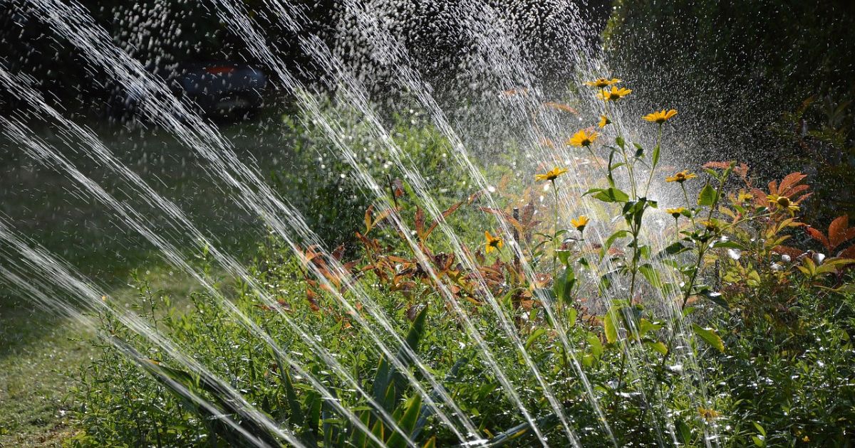 economiser eau jardin