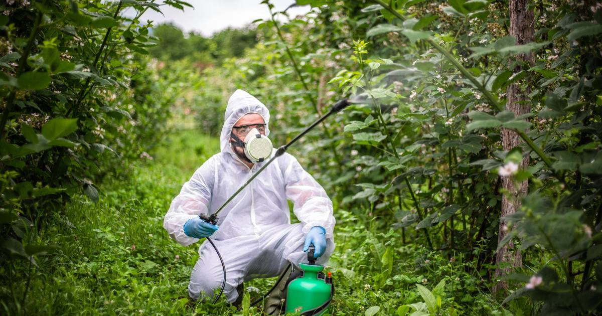 pesticide danger