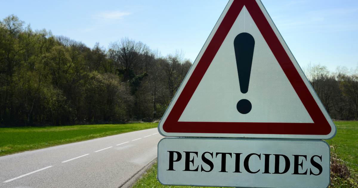 pesticides bon ou mauvais pour l'homme
