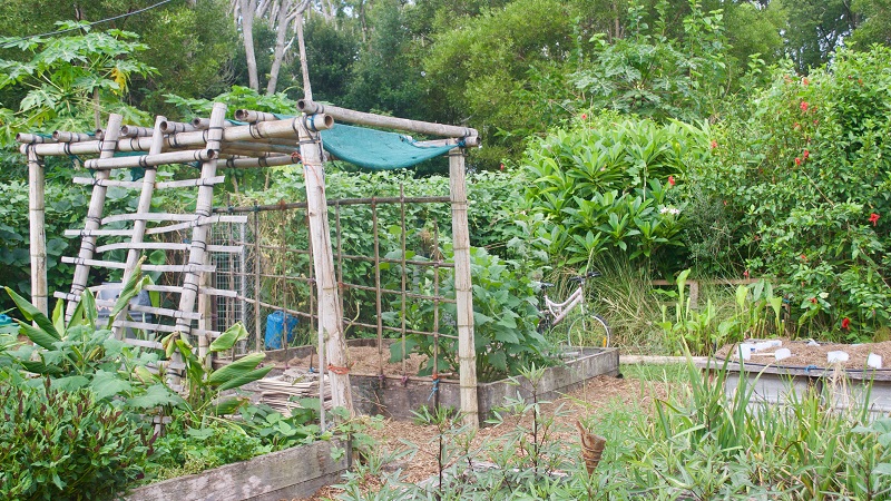 Un jardin en permaculture luxuriant et diversifié, où légumes, fleurs et plantes aromatiques cohabitent harmonieusement, créant un écosystème équilibré et productif.